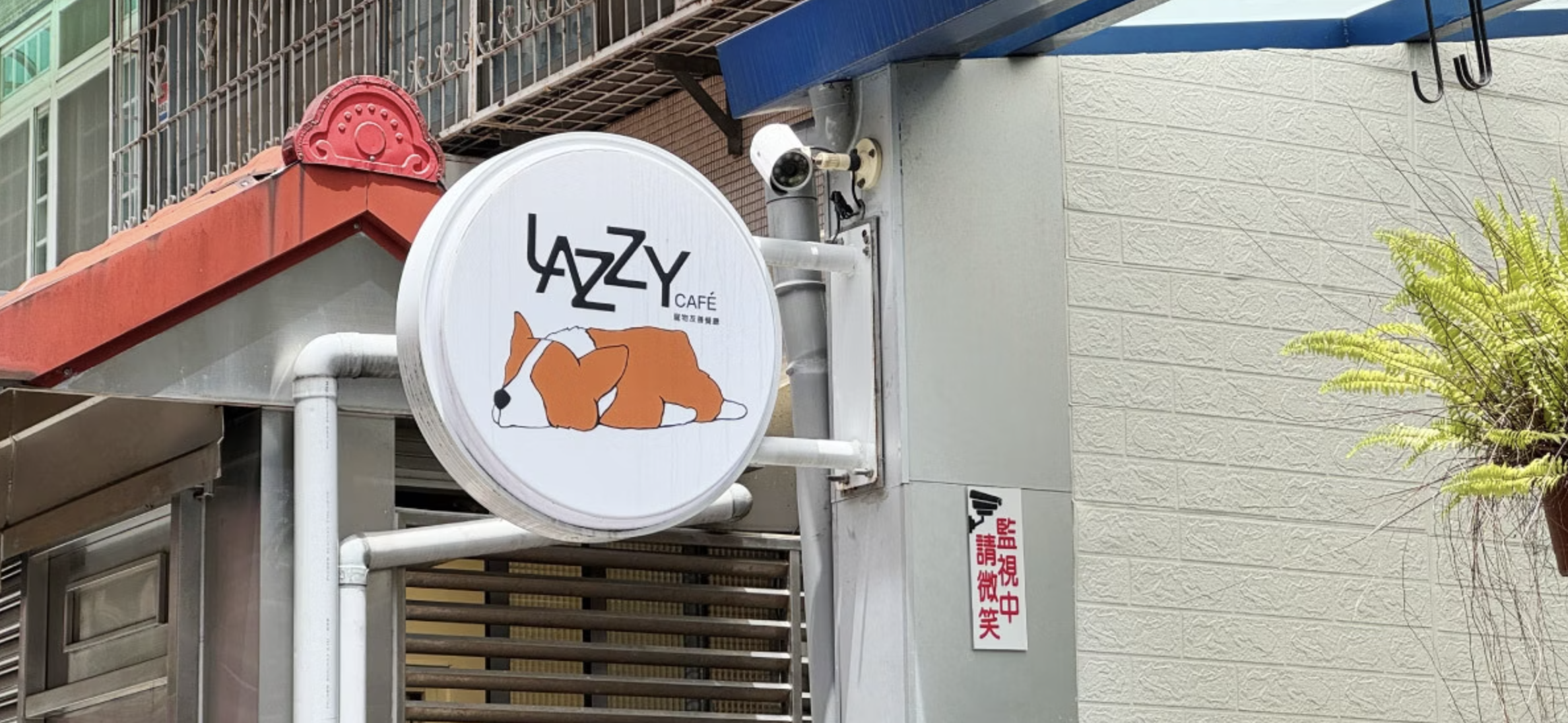 Lazzy Cafe 寵物餐廳｜圖片來源：Google Map