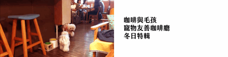咖啡與毛孩 寵物友善咖啡廳 冬日特輯