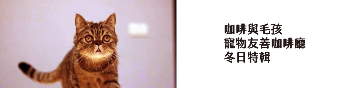 咖啡與毛孩寵物友善咖啡廳冬日特輯_