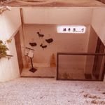 瀑布三號（溪流咖啡） | 圖片來源：Google Map