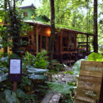 那個咖啡吧 ｜ 圖片來源：Google Map