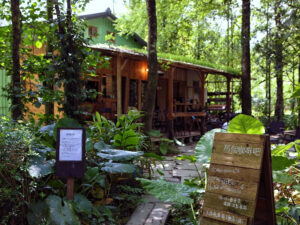 那個咖啡吧 ｜ 圖片來源：Google Map