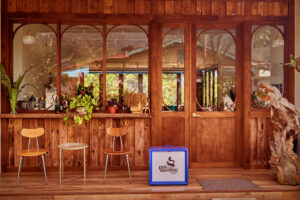 飛鼠咖啡 Peisu Coffee | 圖片來源：Google Map