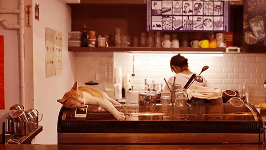 Block & Cafe. 町咖啡｜圖片來源：Google Map