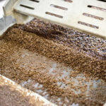 Coffee Cherry Washed Process｜圖片來源：freepik