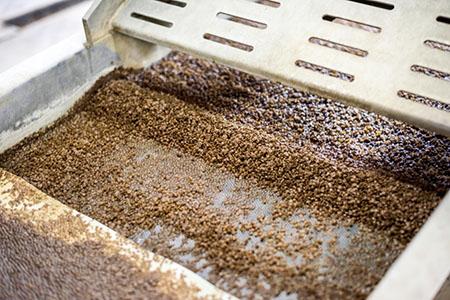 Coffee Cherry Washed Process｜圖片來源：freepik