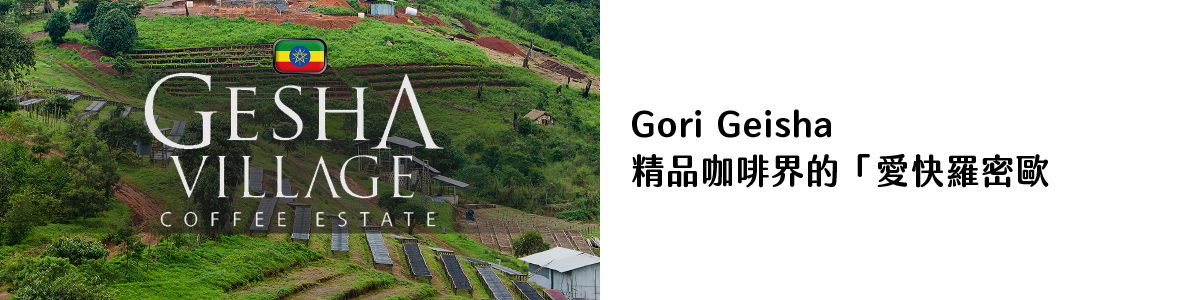 Gori Geisha：精品咖啡界的「愛快羅密歐」，探索藝伎咖啡的本源滋味