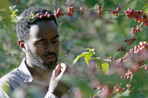 Semeon Abay｜圖片來源：飲品界