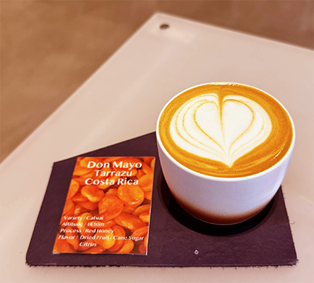 光生 MITSUO 單品卡布奇諾咖啡｜圖片來源：Google Map