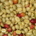 咖啡生豆後殼後露出的果膠｜圖片來源：unsplash