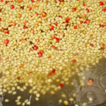 咖啡生豆水洗過程｜圖片來源：unsplash