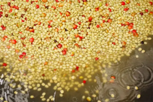 咖啡生豆水洗過程｜圖片來源：unsplash