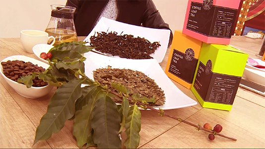 咖啡葉紅茶｜圖片來源：TVBS