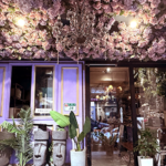 奧蘿茉咖啡館 ｜圖片來源：Google Map