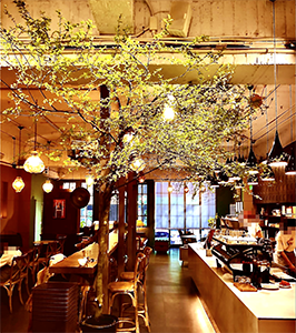 海倫咖啡 店內環境｜圖片來源：Google Map