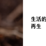 生活的微光_再生
