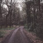 迷路｜攝影：Zara Walker 圖片來源：Unsplash