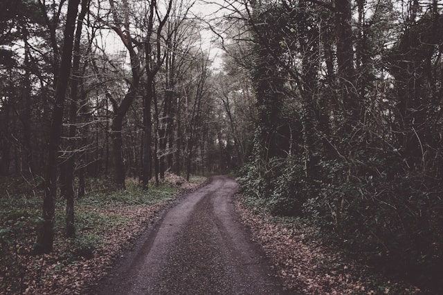 迷路｜攝影：Zara Walker 圖片來源：Unsplash