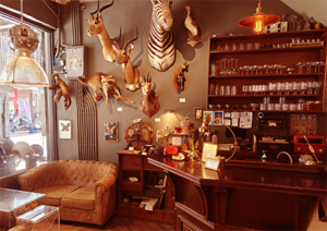 遷鳥陳列所咖啡吧 內部環境｜圖片來源：Google Map