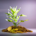 Money｜攝影：金 运 圖片來源： Unsplash