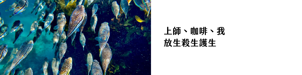上師、咖啡、我_放生殺生護生