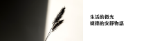 生活的微光_婕德的安靜物語